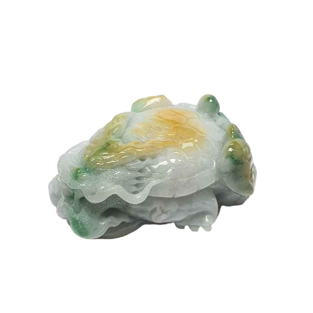 微信图片_202505241745056.png