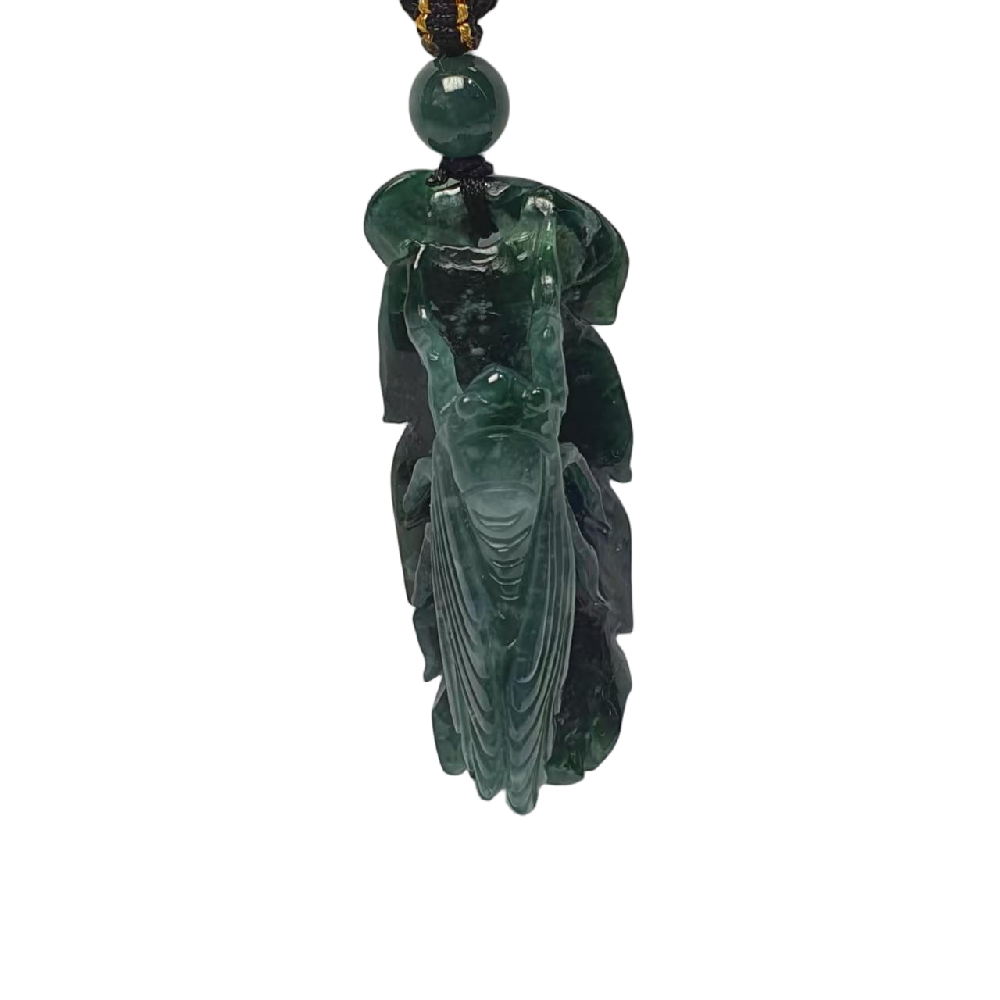 微信图片_20250610120638.png
