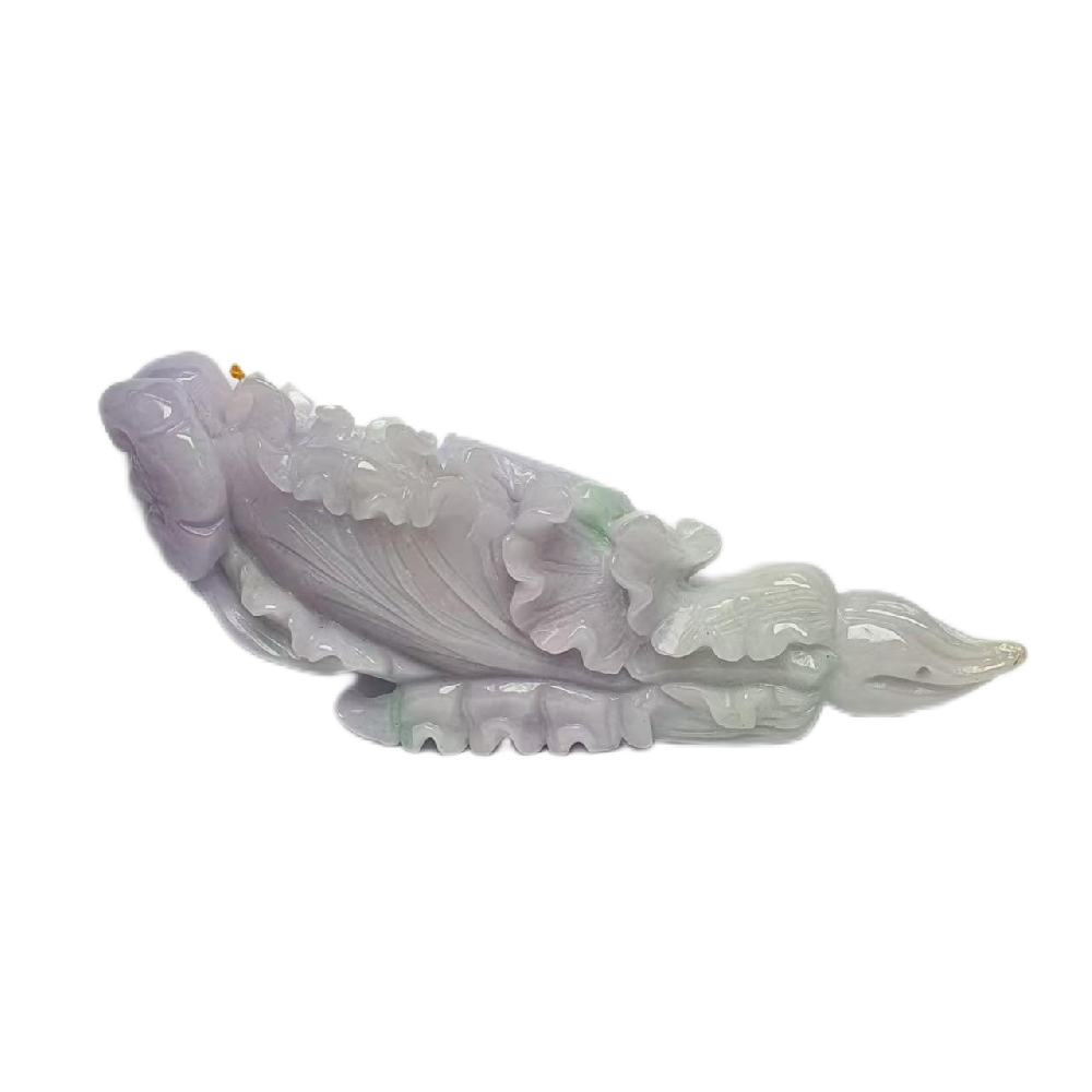 微信图片_20241129205420.png
