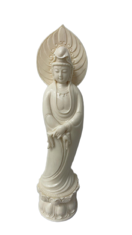 微信图片_202412241036292.png