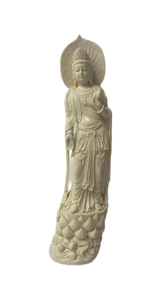 微信图片_202412281012041.png