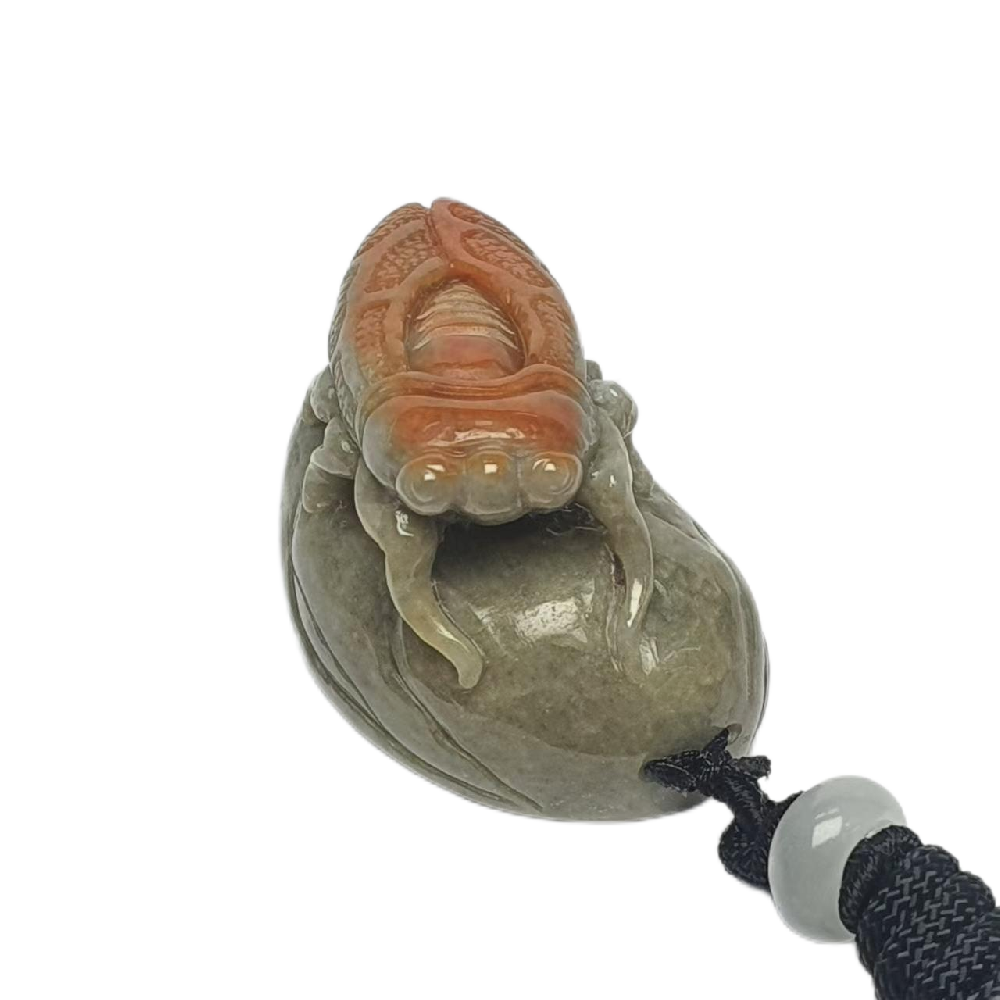 微信图片_202412281343541.png