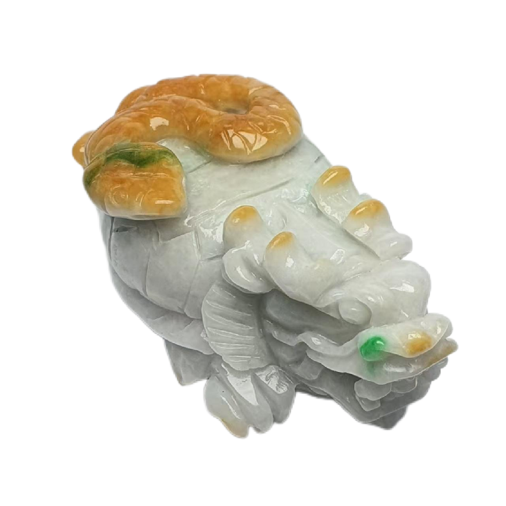 微信图片_202412281343541.png