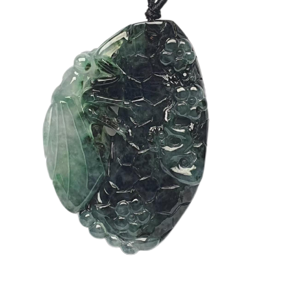 微信图片_20250119162954.png