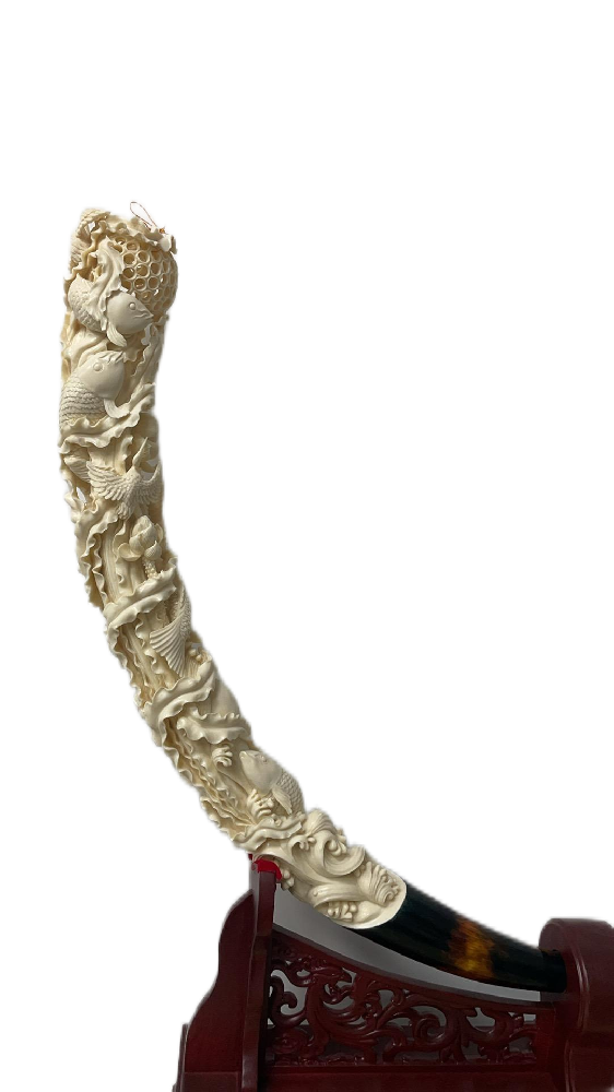 微信图片_20250228150618.png