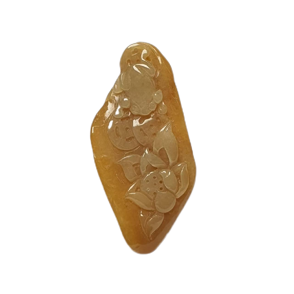 微信图片_202503071540252.png
