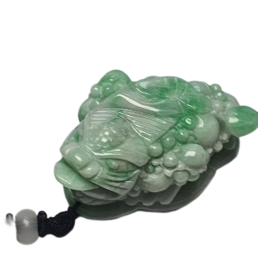 微信图片_20250419141038.png