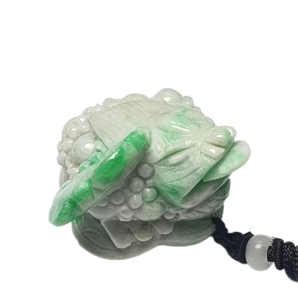微信图片_20250419141056.png