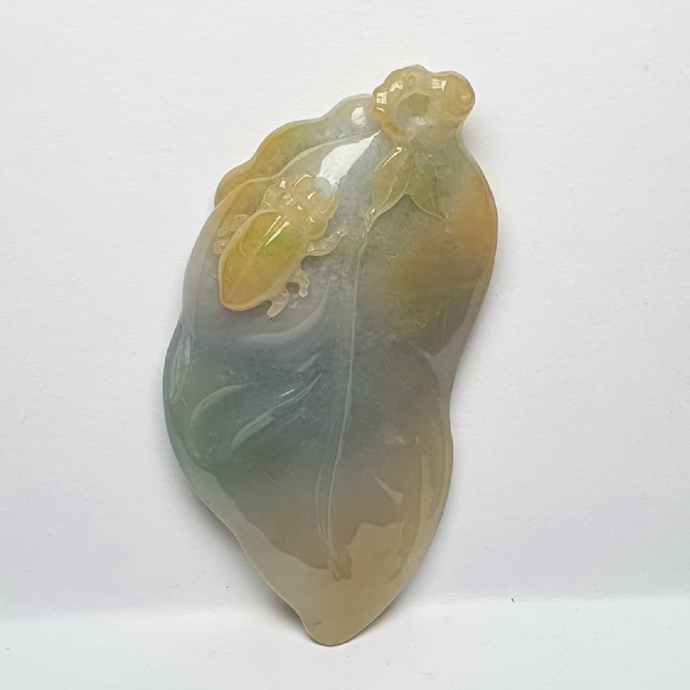 微信图片_20250427150541.jpg